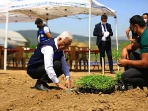 Muğla’da 39 il ve 2 ülkenin toprak, bitki ve su analizi yapıldı