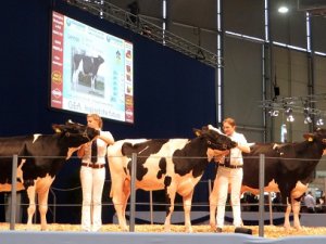 Fuarda İlk Kez Canlı Hayvan Holü Olacak