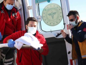 Henüz adı bile konulamadı, uçak ambulansla Ankara’ya sevk edildi