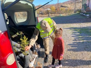 Derecik’te 6 bin fidan toprakla buluşturuldu