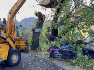 Konyaaltı’nda fırtınayla mücedele çalışması