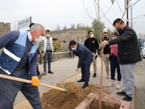 Cizre Kaymakamı Tunç, ağaçlandırma çalışmalarına katıldı