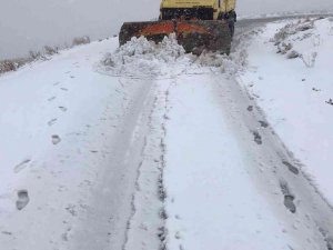 Elazığ’da karla mücadele başladı