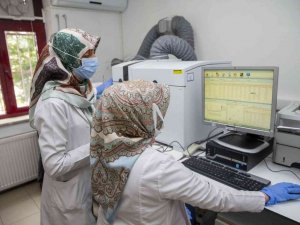 GMK Devlet Hastanesi “mesleki ve çevresel” hastalıklar alanında hizmet vermeye başladı