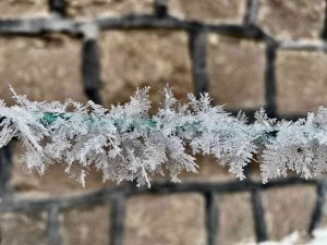 Ağrı dondurucu soğuklara teslim oldu