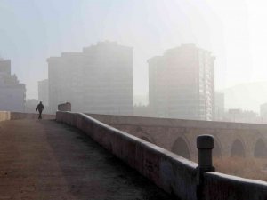 Sis ve kırağı eşsiz görüntüler oluşturdu