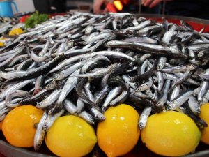 Aydın’da balık tezgahlarının yıldızı ’hamsi’ oldu