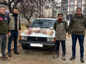 Projektörle tavşan avlayanlara 24 bin lira ceza