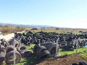 Kent genelinde vektörel mücadele