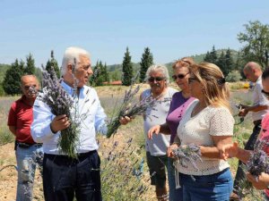 Kadın üreticilere 97 Bin 500 adet tıbbi aromatik fidanı