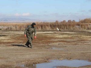 Limanı mesken tutan göç etmeyen leyleği balıkçılar küçük balıklarla besliyor