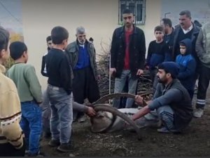 Köye inen dağ keçisi zarar görmesin diye saatlerce nöbet tuttular