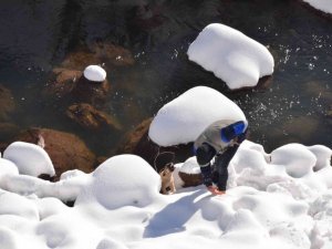 Karla kaplı yaylada ölmek üzere olan köpeği Dicle Elektrik ekipleri ve gazeteciler kurtardı