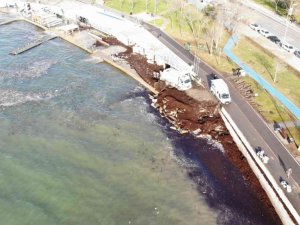 Caddebostan Sahili yeniden kırmızı yosunlarla kaplandı