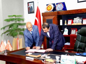 Bingöl’de kedi, köpek ve gelinciklerin takibi yapılacak