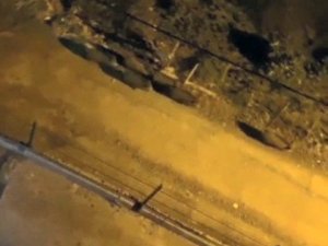 Giresun’da aç kalan domuz sürüsü ilçe merkezine indi