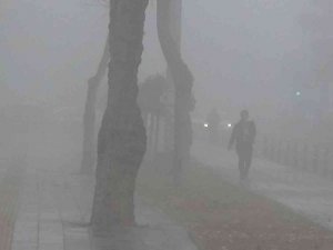 Diyarbakır’da sis hayatı olumsuz etkiledi