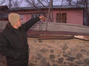 Erzincan’da köyün içine giren ayı görüntülendi