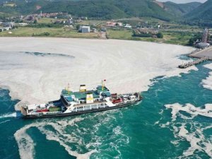 Marmara Denizi’ni bekleyen felaket