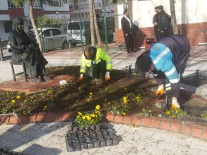 Pursaklar rengârenk kış çiçekleri ile güzelleşiyor