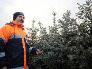 Türkiye’nin en büyük üretim ve lojistik üssü fidanlığı Kocasinan’da