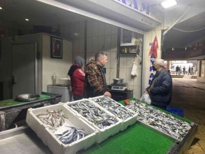 Hamsi ve palamudun yerini istavrit aldı, kilosu 25 liradan alıcı buldu