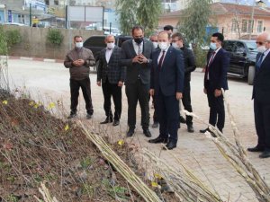 Şırnak’ta çiftçilere 108 bin adet meyve fidanı dağıtıldı