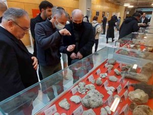 28 bin yıllık mamut parçaları Tekirdağ’da