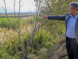 Başkan Güler’den Köşk arıtma tesisi açıklaması