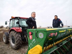 53 çiftçiye 20 ton ekmeklik buğday tohumu dağıtıldı