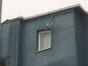 Elektrik tellerine takılan martı kurtarıldı