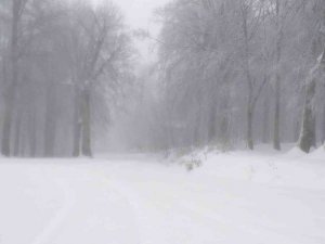 Kartepe’de yoğun kar yağışı başladı