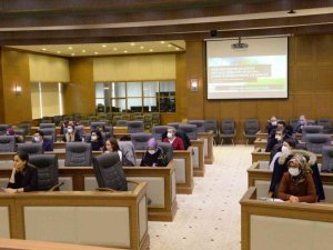 Bursa, iklim değişikliği ile mücadelede öncü