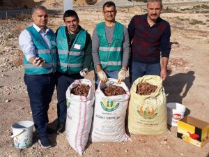 Ermenek’te adliye çalışanları dik yamaçlara tohum serpti