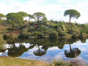 Madran Dağı’nın güzelliği görenleri hayran bırakıyor