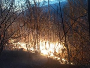 Karadeniz’de orman ve bahçe yangınlarına dikkat