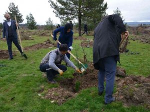 Gediz’de fidan dikimi gerçekleştirildi