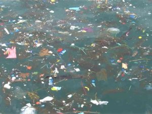 Üsküdar Sahili’nde kıyıya çöpler vurdu