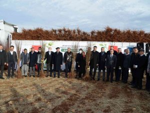 Eğil’de çiftçilere 180 bin badem, fıstık ve ceviz fidanı dağıtıldı