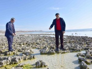 Van Gölü’nün çekilmesiyle yeni mikrobiyalitler gün yüzüne çıktı