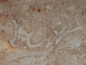 195 milyon yıllık mermerde ‘Bismillah’ yazısı