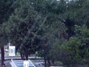 Büyükçekmece ve Beylikdüzü’nde kar yağışı başladı