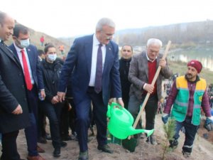 Diyarbakır Fetih 1382 Hatıra Ormanı’nda 10 bin 918 ağaç dikildi