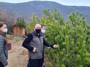 Bayraktaroğlu "Orman köylüsünün gönlüne dokunan işler yapıyoruz"