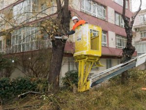 Çankaya’da tehlike oluşturan ağaçlar budanıyor