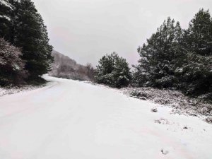 Erdek’in yüksek kesimlerde kar yağışı etkili oldu