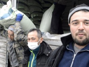 Tavşanlı’da buğday üretimine destek