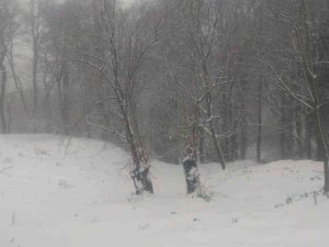 Manyas’a mevsimin ilk karı yağdı