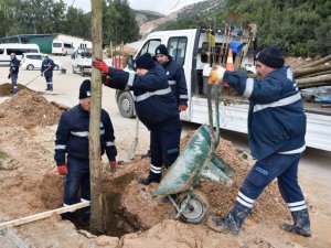 Yunusemre’de ağaçlandırma seferberliği devam ediyor