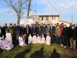 Samsun’da İsrail sazanı ile mücadele başladı